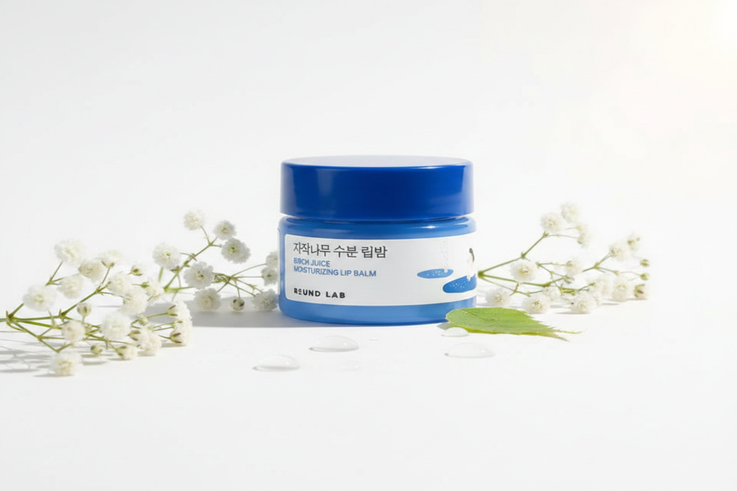 Round Lab Birch Juice Moisturizing Lip Balm